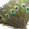 Mor Pankh (5 Pcs)