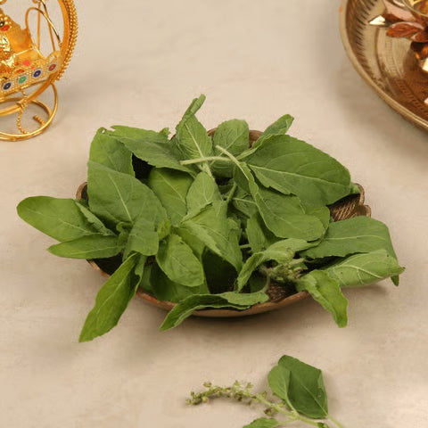 Tulsi Patta (10g)